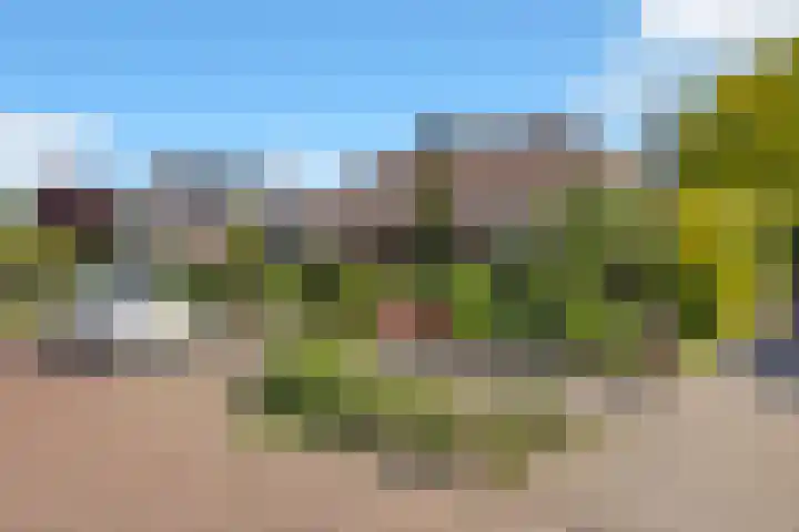 Mink 4 Veldhoven thumbnail 55