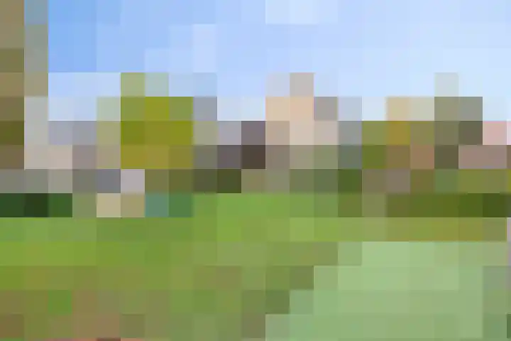 Mink 5 Veldhoven thumbnail 39