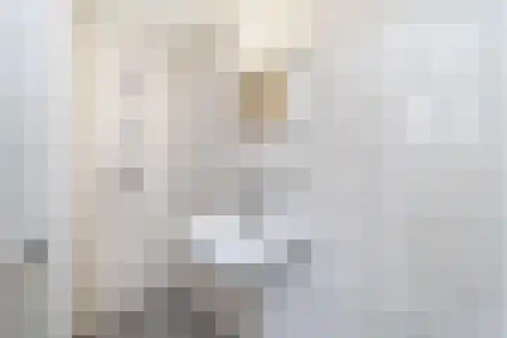 Minkade 27 Utrecht thumbnail 12