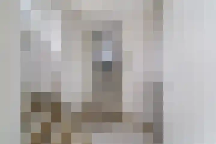 Minkade 27 Utrecht thumbnail 14