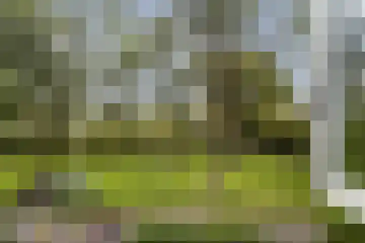 Minkade 27 Utrecht thumbnail 20