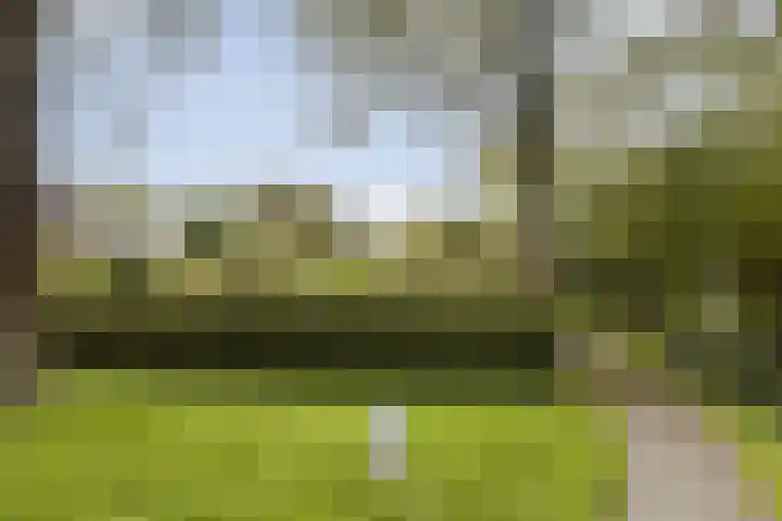 Minkade 27 Utrecht thumbnail 21
