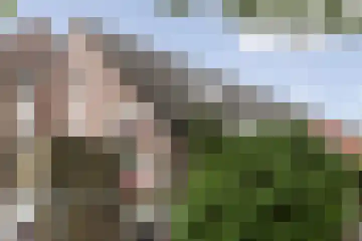 Minkade 27 Utrecht thumbnail 23