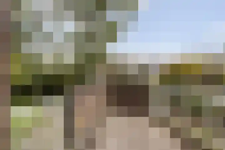 Minkade 27 Utrecht thumbnail 7