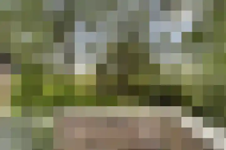 Minkade 27 Utrecht thumbnail 8