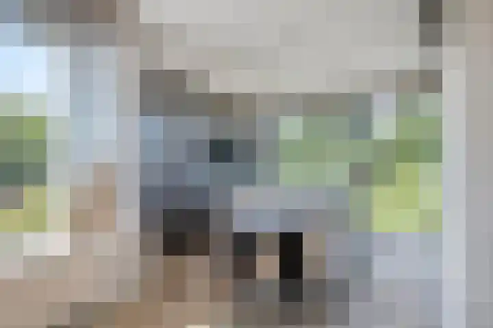 Minkeloos 51 Hoogblokland thumbnail 12