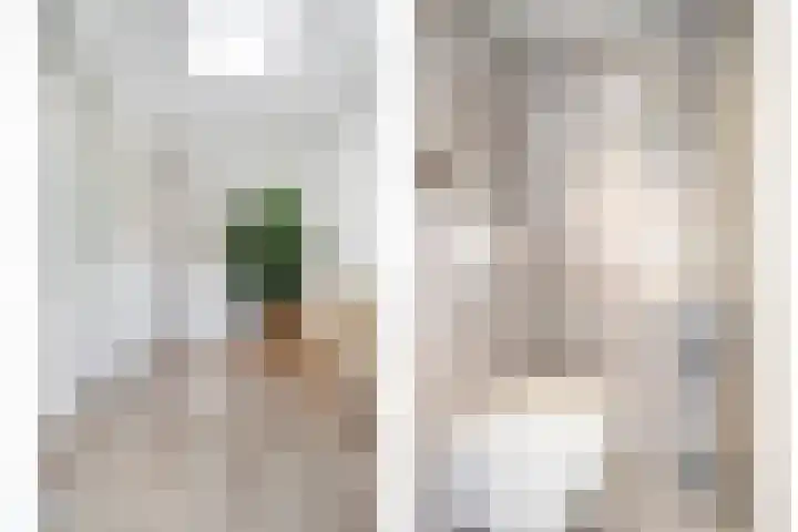 Minkeloos 51 Hoogblokland thumbnail 15