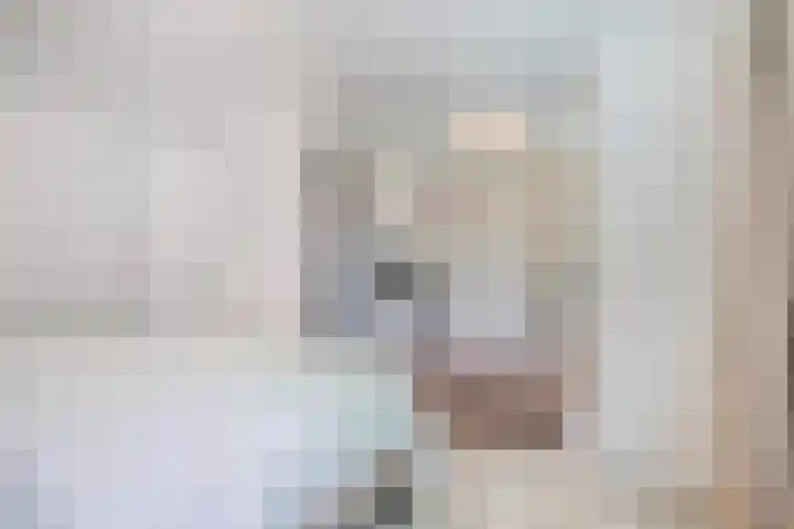 Minkeloos 51 Hoogblokland thumbnail 23