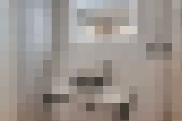 Minkeloos 51 Hoogblokland thumbnail 25