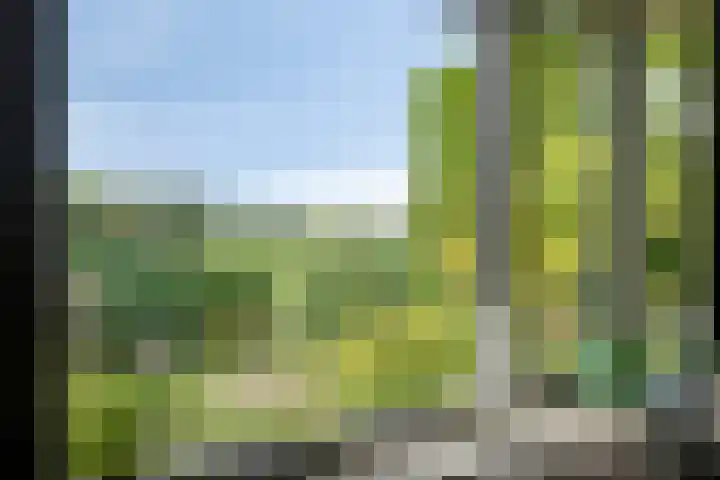 Minkeloos 51 Hoogblokland thumbnail 28