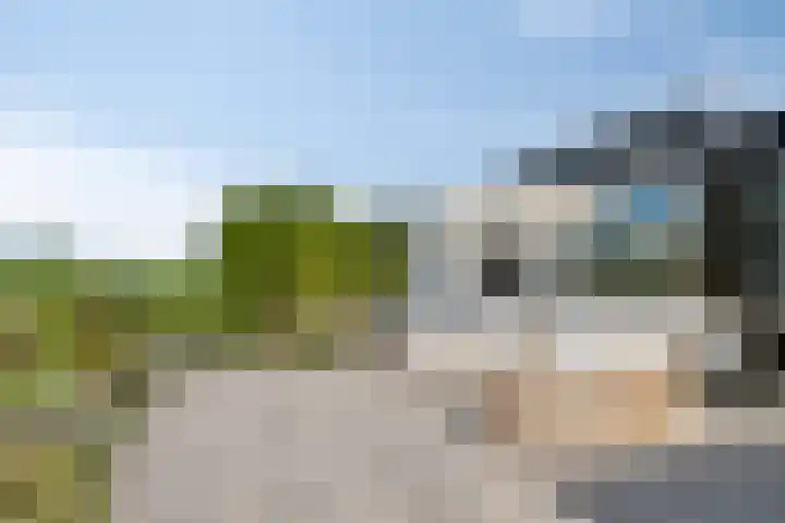 Minkeloos 51 Hoogblokland thumbnail 34