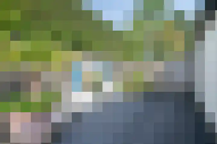 Minkeloos 51 Hoogblokland thumbnail 39
