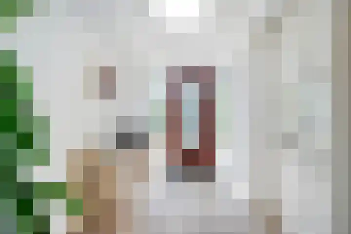 Minkeloos 51 Hoogblokland thumbnail 4