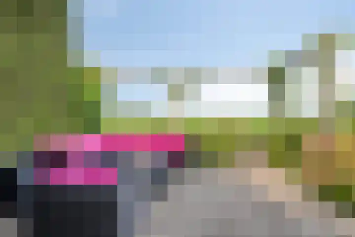 Minkeloos 51 Hoogblokland thumbnail 40