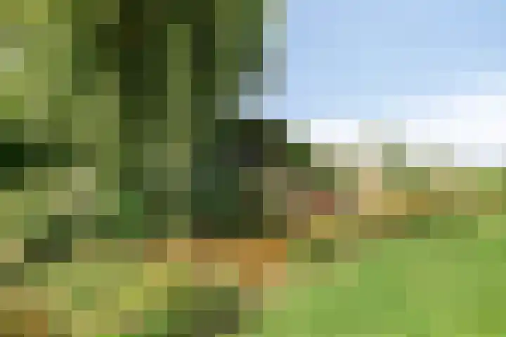 Minkeloos 51 Hoogblokland thumbnail 41