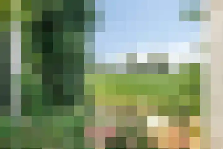 Minkeloos 51 Hoogblokland thumbnail 42