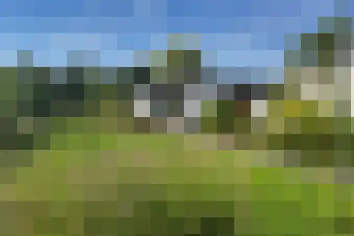 Minkeloos 51 Hoogblokland thumbnail 43