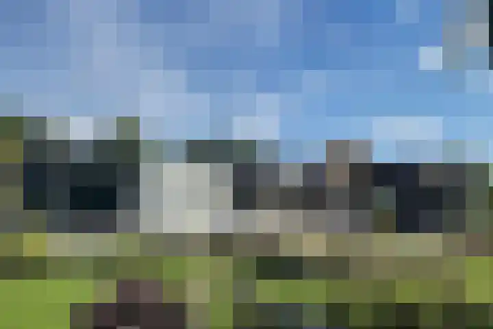 Minkeloos 51 Hoogblokland thumbnail 45