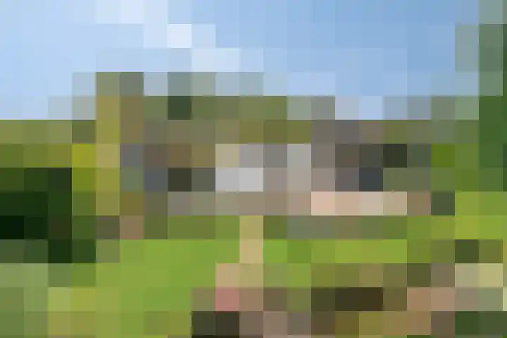 Minkeloos 51 Hoogblokland thumbnail 46