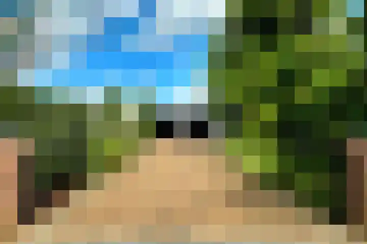 Minkeloos 51 Hoogblokland thumbnail 47