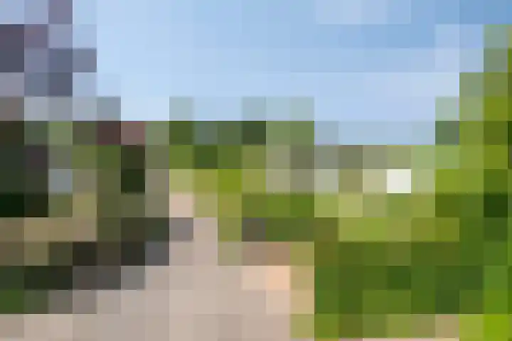 Minkeloos 51 Hoogblokland thumbnail 49