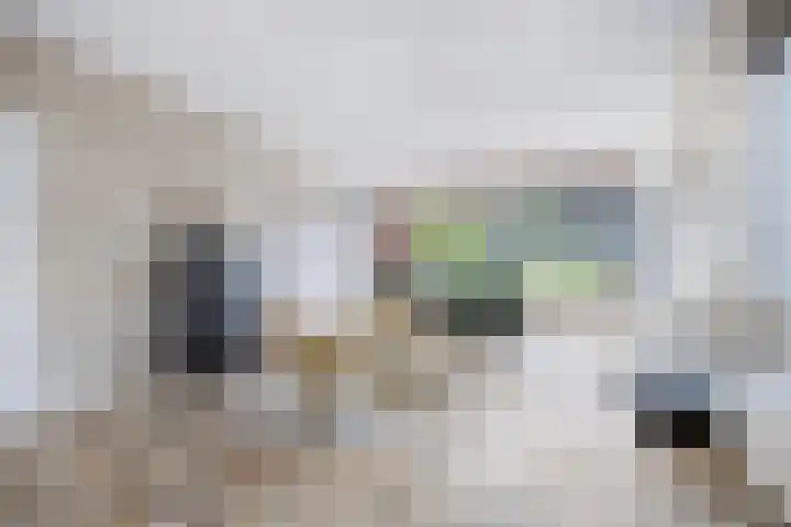 Minkeloos 51 Hoogblokland thumbnail 6