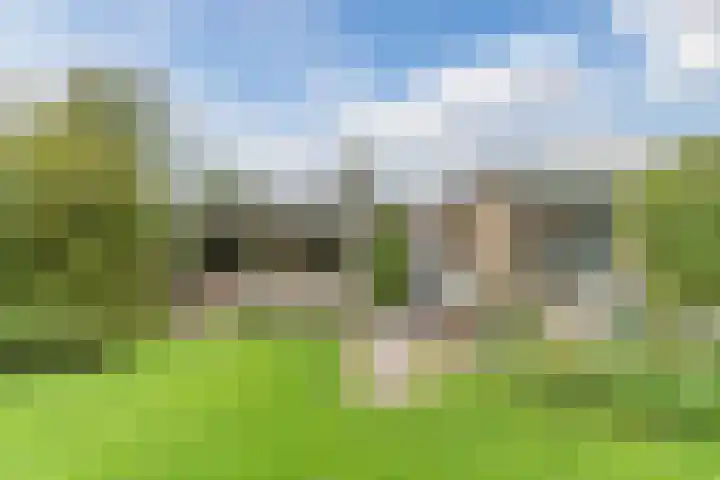 Minkeloos 55 Hoogblokland thumbnail 11
