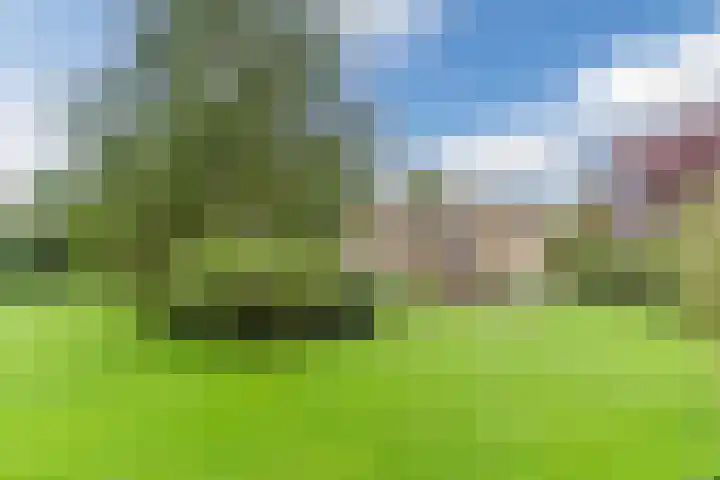 Minkeloos 55 Hoogblokland thumbnail 12