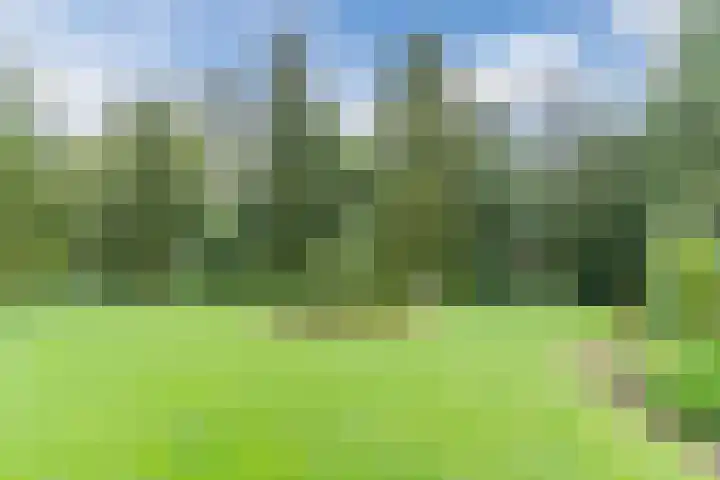 Minkeloos 55 Hoogblokland thumbnail 13