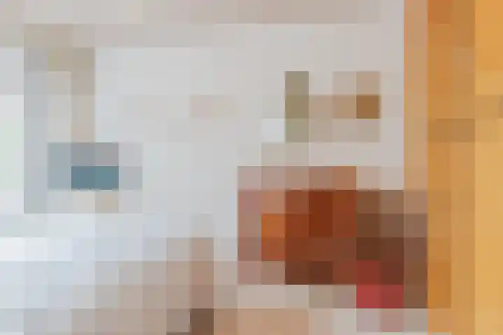 Minkeloos 55 Hoogblokland thumbnail 6