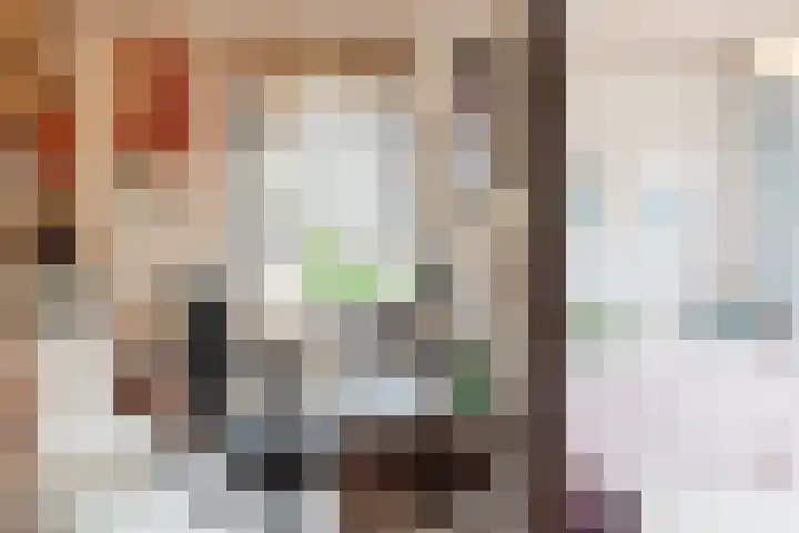 Minkeloos 55 Hoogblokland thumbnail 8