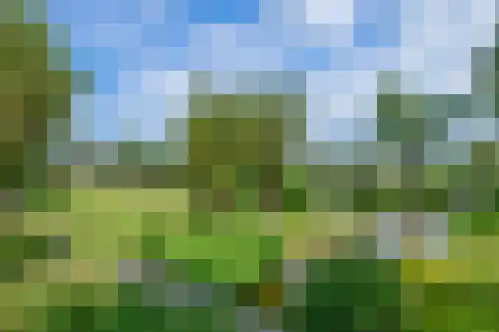 Minkeloos 77 Hoogblokland