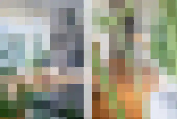 Minkeloos 77 Hoogblokland thumbnail 11