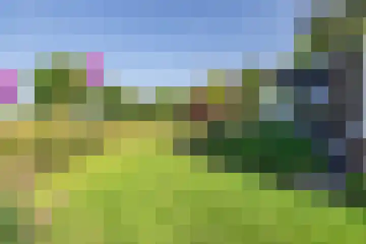 Minkeloos 77 Hoogblokland thumbnail 12