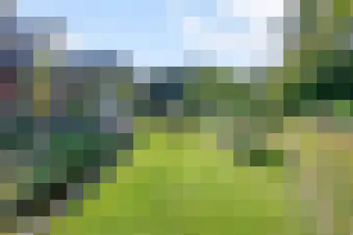 Minkeloos 77 Hoogblokland thumbnail 13