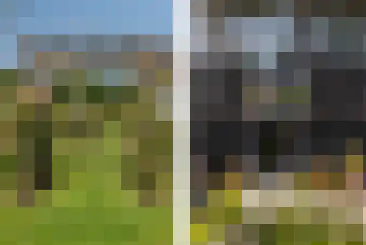 Minkeloos 77 Hoogblokland thumbnail 14