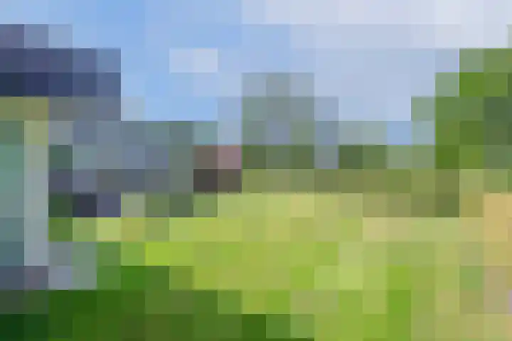 Minkeloos 77 Hoogblokland thumbnail 15