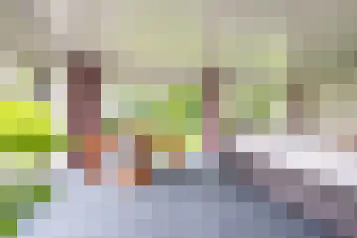 Minkeloos 77 Hoogblokland thumbnail 16