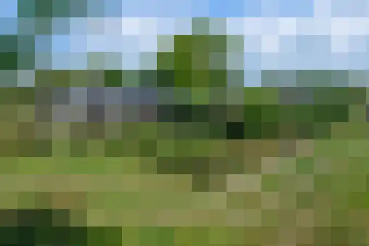 Minkeloos 77 Hoogblokland thumbnail 22
