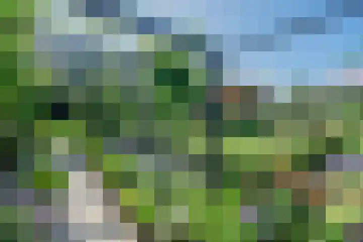 Minkeloos 77 Hoogblokland thumbnail 24