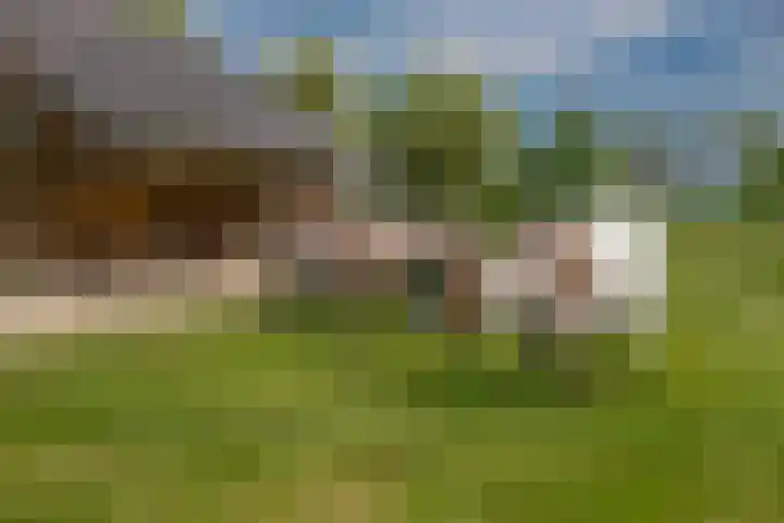 Minkeloos 77 Hoogblokland thumbnail 25