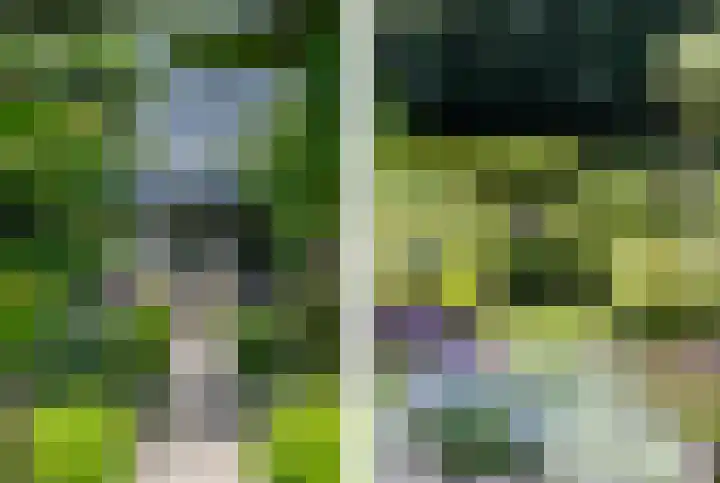 Minkeloos 77 Hoogblokland thumbnail 26