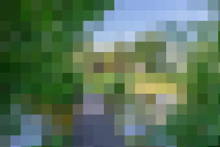 Minkeloos 77 Hoogblokland thumbnail 27