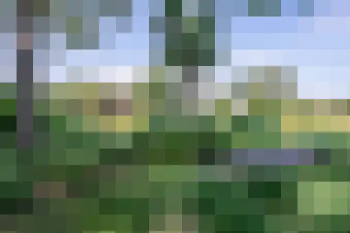 Minkeloos 77 Hoogblokland thumbnail 28