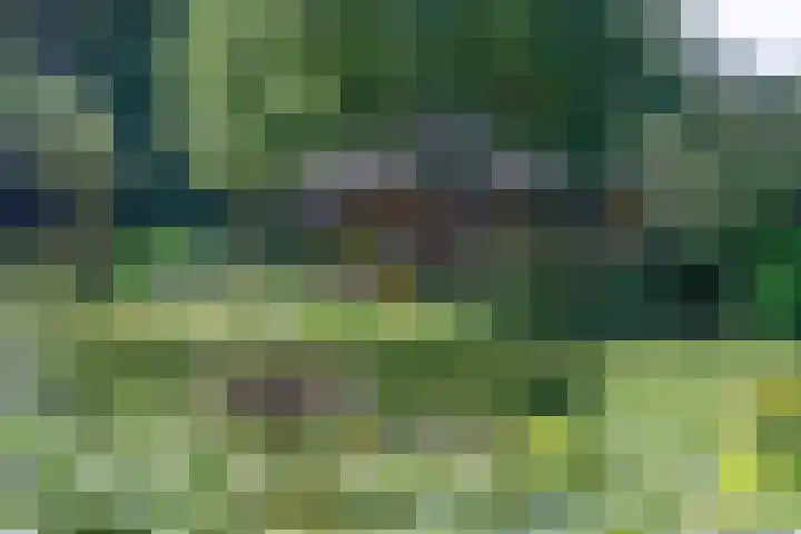 Minkeloos 77 Hoogblokland thumbnail 31