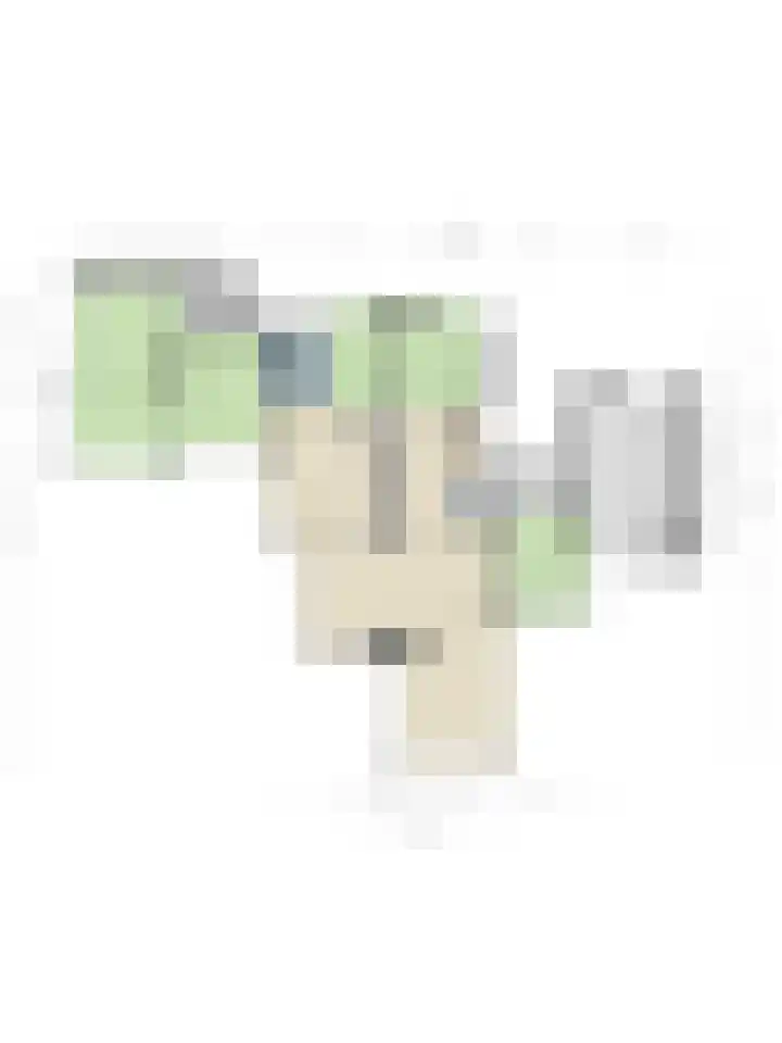 Minkeloos 77 Hoogblokland thumbnail 33
