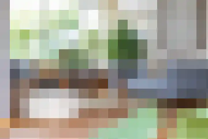 Minkeloos 77 Hoogblokland thumbnail 8