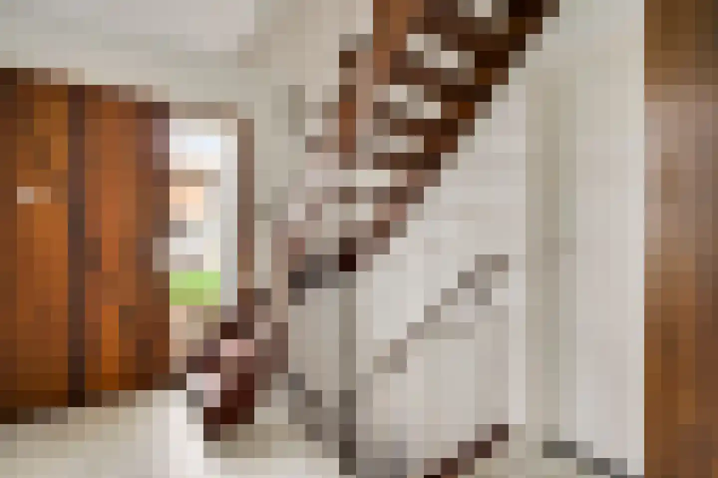 Minkenbergstraat 13 Beek thumbnail 16