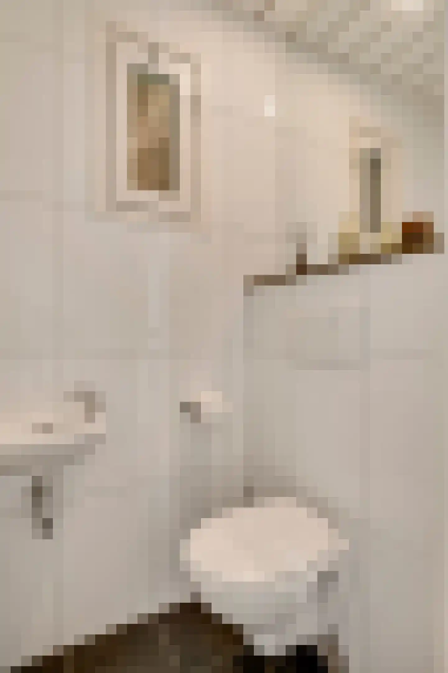 Minkenbergstraat 13 Beek thumbnail 19
