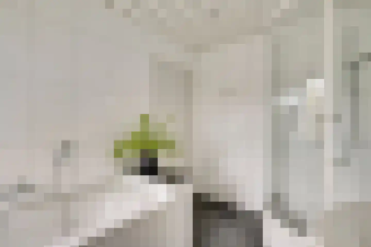 Minkenbergstraat 13 Beek thumbnail 28